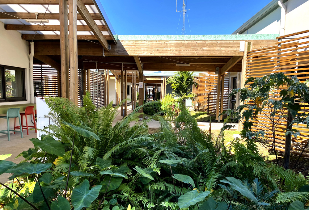 Patio et plantes vertes.